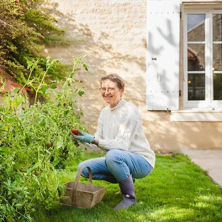 Couette-café Rêves D'autise