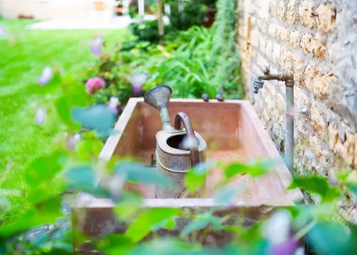 Rêves D'autise Couette-café